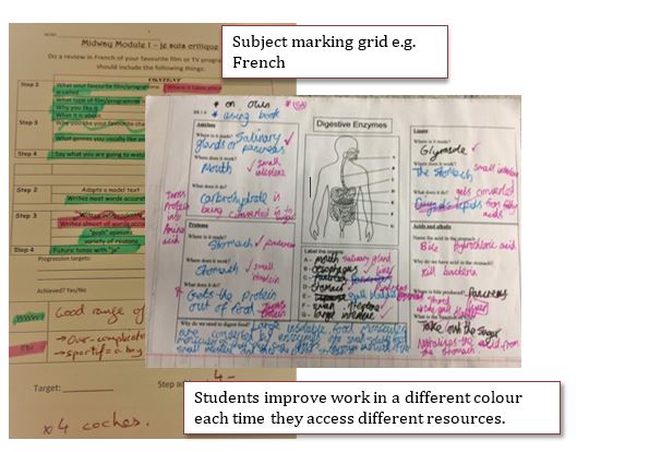 Sample subject marking grid