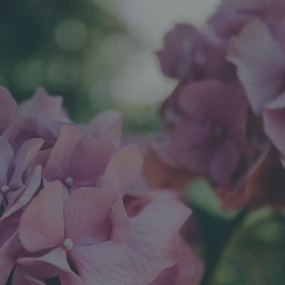 Joules Seconds Sale Uppingham Community College