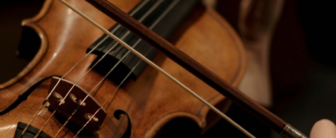 Violin